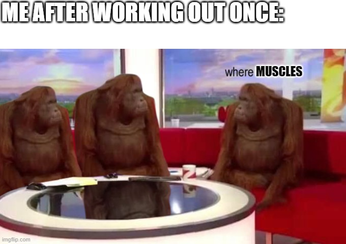 Where muscles | ME AFTER WORKING OUT ONCE:; MUSCLES | image tagged in where banana | made w/ Imgflip meme maker