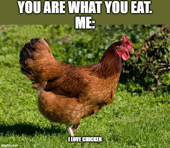 You are what you eat part 1 | YOU ARE WHAT YOU EAT.
ME:; I LOVE CHICKEN | image tagged in memes,funny,you are what you eat,chicken,wtf,stay tuned for a part 2 | made w/ Imgflip meme maker