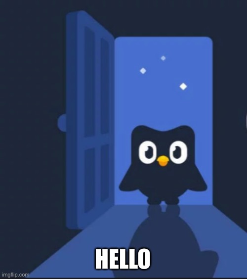 Duolingo bird | HELLO | image tagged in duolingo bird | made w/ Imgflip meme maker