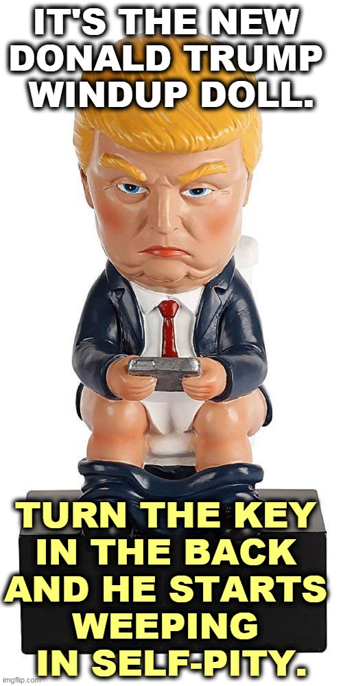 Donald Trump trying to get back on Twitter on the toilet | IT'S THE NEW 
DONALD TRUMP 
WINDUP DOLL. TURN THE KEY 
IN THE BACK 
AND HE STARTS 
WEEPING 
IN SELF-PITY. | image tagged in donald trump trying to get back on twitter on the toilet,trump,crying,self | made w/ Imgflip meme maker