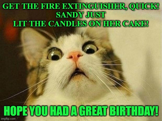 Scared Cat Meme | GET THE FIRE EXTINGUISHER, QUICK!
SANDY JUST LIT THE CANDLES ON HER CAKE! HOPE YOU HAD A GREAT BIRTHDAY! | image tagged in memes,scared cat | made w/ Imgflip meme maker