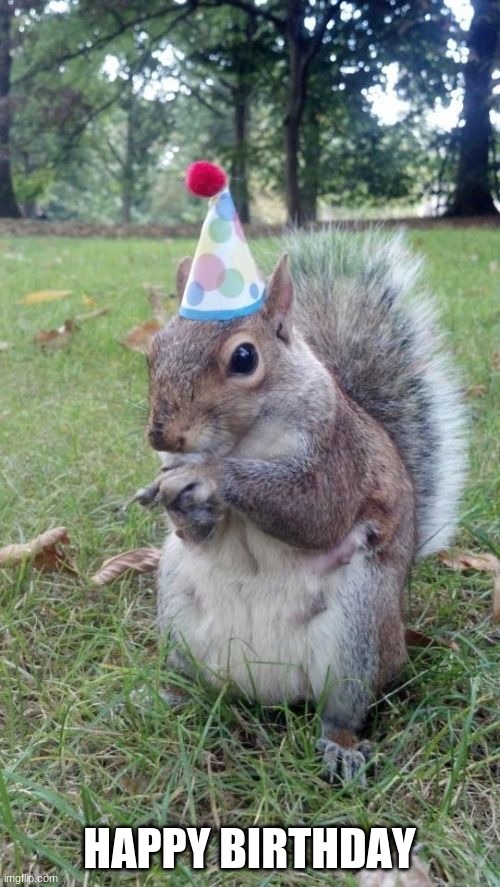 HAPPY BIRTHDAY | image tagged in memes,super birthday squirrel | made w/ Imgflip meme maker