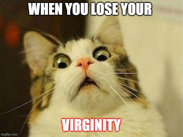 Scared Cat Meme | WHEN YOU LOSE YOUR; VIRGINITY | image tagged in memes,scared cat | made w/ Imgflip meme maker