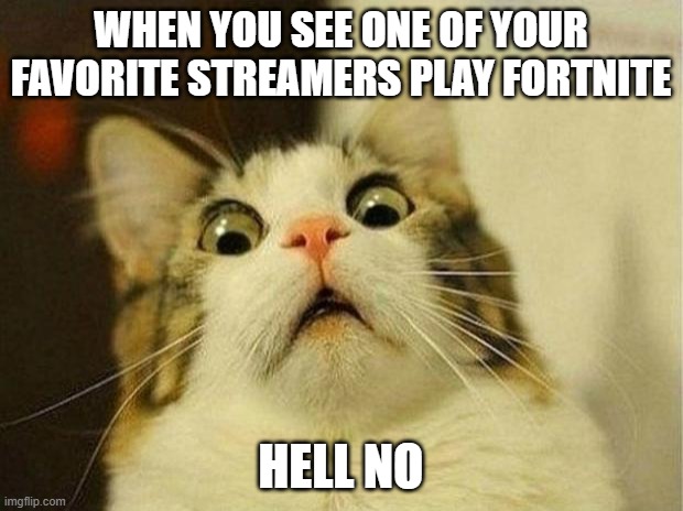 Scared Cat | WHEN YOU SEE ONE OF YOUR FAVORITE STREAMERS PLAY FORTNITE; HELL NO | image tagged in memes,scared cat | made w/ Imgflip meme maker