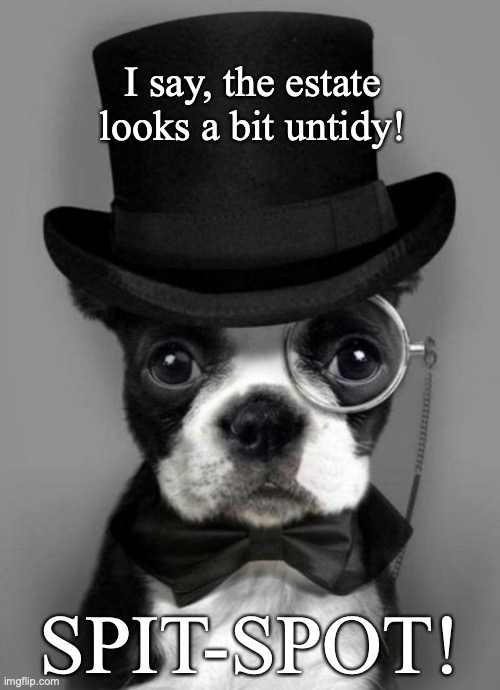 dog with monocle |  I say, the estate looks a bit untidy! SPIT-SPOT! | image tagged in monacle,dog,butler,british | made w/ Imgflip meme maker