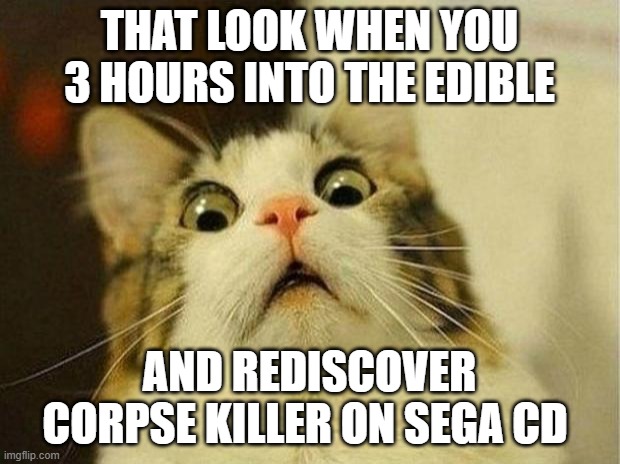 uuuuuuuuuuuuuuuuuuuuuuh | THAT LOOK WHEN YOU 3 HOURS INTO THE EDIBLE; AND REDISCOVER CORPSE KILLER ON SEGA CD | image tagged in memes,scared cat,marijuana,weed,thc | made w/ Imgflip meme maker