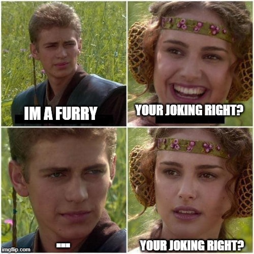 Anakin and Padme | YOUR JOKING RIGHT? IM A FURRY; ... YOUR JOKING RIGHT? | image tagged in anakin and padme | made w/ Imgflip meme maker