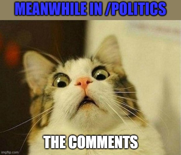 Be afraid be very afraid | MEANWHILE IN /POLITICS; THE COMMENTS | image tagged in memes,scared cat,politics,comments | made w/ Imgflip meme maker