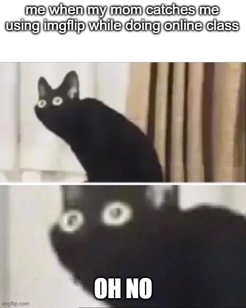 Scared cat | me when my mom catches me using imgflip while doing online class; OH NO | image tagged in scared cat | made w/ Imgflip meme maker