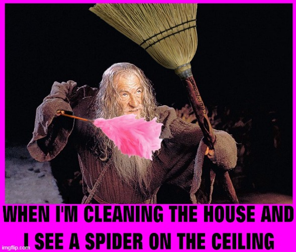 image tagged in lord of the rings,gandalf,spiders,cleaning,lotr,movies | made w/ Imgflip meme maker