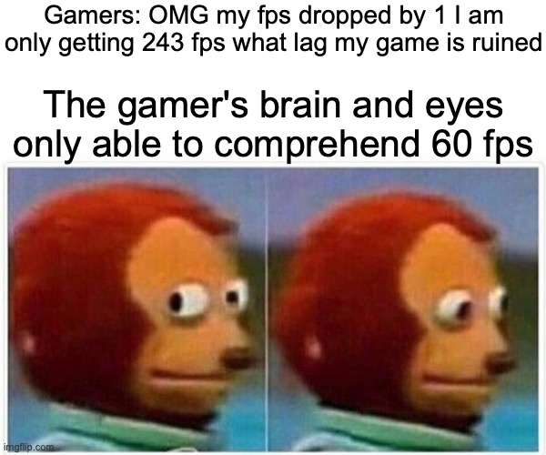 Time to ruin the lives of gamers everywhere: | Gamers: OMG my fps dropped by 1 I am only getting 243 fps what lag my game is ruined; The gamer's brain and eyes only able to comprehend 60 fps | image tagged in memes,monkey puppet | made w/ Imgflip meme maker