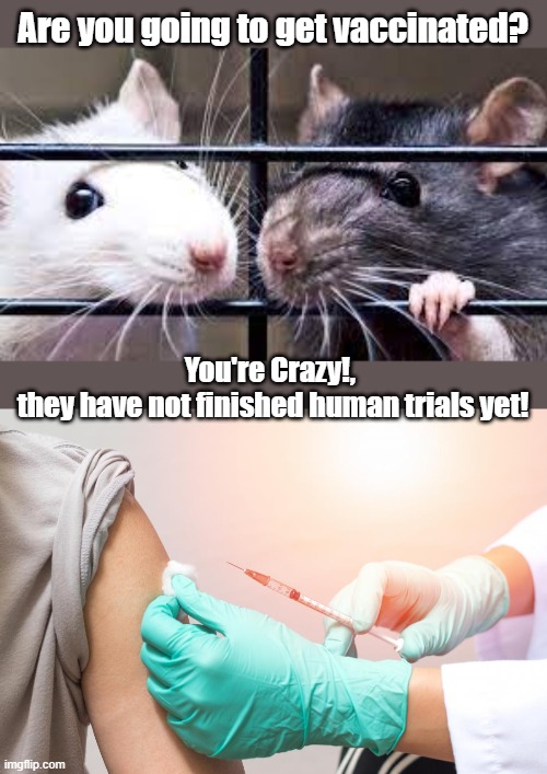 they haven't finished human trials | Are you going to get vaccinated? You're Crazy!, 
they have not finished human trials yet! | image tagged in vaccination | made w/ Imgflip meme maker