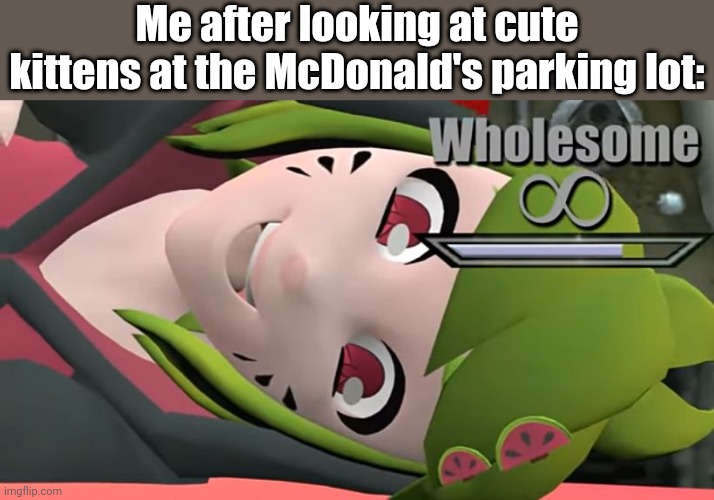 *dies from too much cuteness overload* :D | Me after looking at cute kittens at the McDonald's parking lot: | image tagged in wholesome infinite,awwwwww | made w/ Imgflip meme maker