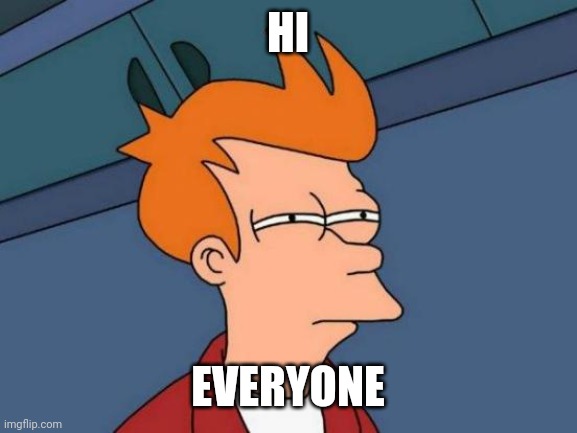 I'll try to be online more | HI; EVERYONE | image tagged in memes,futurama fry | made w/ Imgflip meme maker