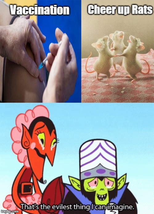 Everyone should understood | Cheer up Rats; Vaccination | image tagged in vaccines | made w/ Imgflip meme maker