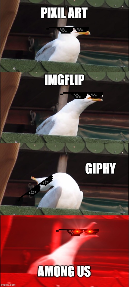 which website to use?! | PIXIL ART; IMGFLIP; GIPHY; AMONG US | image tagged in memes,inhaling seagull | made w/ Imgflip meme maker