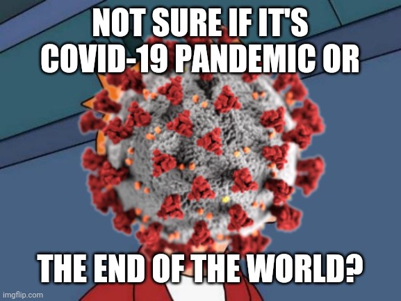 Bruh | NOT SURE IF IT'S COVID-19 PANDEMIC OR; THE END OF THE WORLD? | image tagged in covid-19,coronavirus,pandemic,end of the world,memes | made w/ Imgflip meme maker