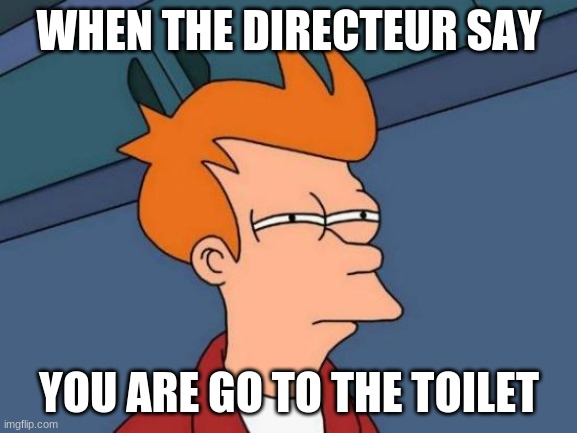 Futurama Fry Meme | WHEN THE DIRECTEUR SAY; YOU ARE GO TO THE TOILET | image tagged in memes,futurama fry | made w/ Imgflip meme maker
