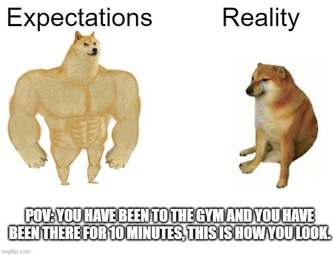 Buff Doge vs. Cheems | Expectations; Reality; POV: YOU HAVE BEEN TO THE GYM AND YOU HAVE BEEN THERE FOR 10 MINUTES, THIS IS HOW YOU LOOK. | image tagged in memes,buff doge vs cheems | made w/ Imgflip meme maker