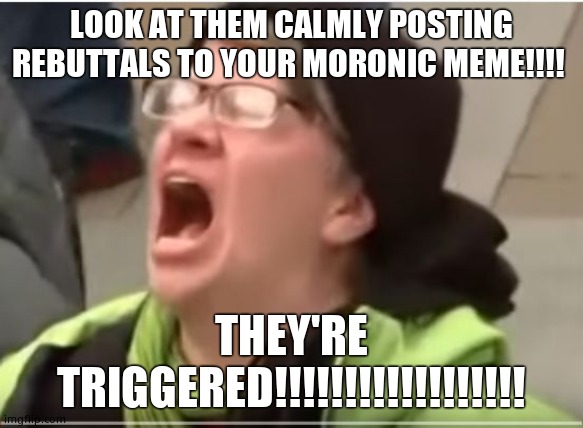 Screaming Liberal | LOOK AT THEM CALMLY POSTING REBUTTALS TO YOUR MORONIC MEME!!!! THEY'RE TRIGGERED!!!!!!!!!!!!!!!!!! | image tagged in screaming liberal | made w/ Imgflip meme maker