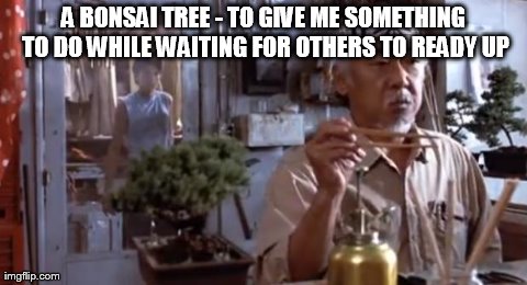 A BONSAI TREE - TO GIVE ME SOMETHING TO DO WHILE WAITING FOR OTHERS TO READY UP | made w/ Imgflip meme maker