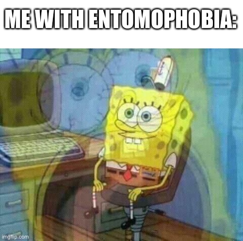 spongebob panic inside | ME WITH ENTOMOPHOBIA: | image tagged in spongebob panic inside | made w/ Imgflip meme maker