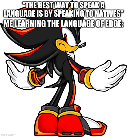 Lol | "THE BEST WAY TO SPEAK A LANGUAGE IS BY SPEAKING TO NATIVES"; ME LEARNING THE LANGUAGE OF EDGE: | image tagged in shadow the hedgehog | made w/ Imgflip meme maker