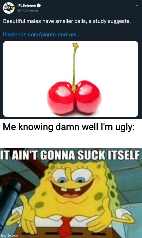 Me knowing damn well I'm ugly: | made w/ Imgflip meme maker
