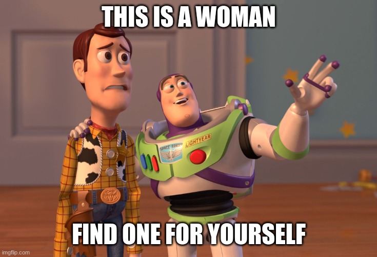 X, X Everywhere | THIS IS A WOMAN; FIND ONE FOR YOURSELF | image tagged in memes,x x everywhere | made w/ Imgflip meme maker