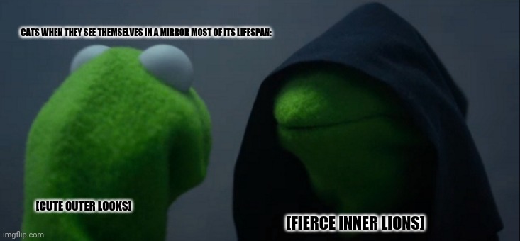 Evil Kermit Meme | CATS WHEN THEY SEE THEMSELVES IN A MIRROR MOST OF ITS LIFESPAN:; [CUTE OUTER LOOKS]; [FIERCE INNER LIONS] | image tagged in memes,evil kermit,grumpy cat bed | made w/ Imgflip meme maker