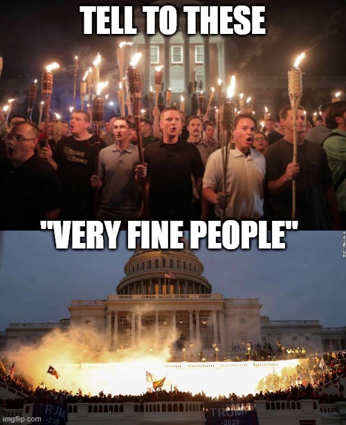 TELL TO THESE "VERY FINE PEOPLE" | image tagged in virginia nazi's,capitol uprising | made w/ Imgflip meme maker