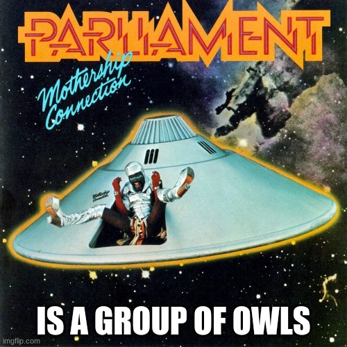 give a hoot |  IS A GROUP OF OWLS | image tagged in parliament | made w/ Imgflip meme maker