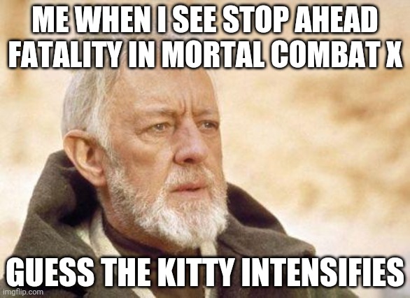 Now that's a name I haven't heard since...  | ME WHEN I SEE STOP AHEAD FATALITY IN MORTAL COMBAT X; GUESS THE KITTY INTENSIFIES | image tagged in now that's a name i haven't heard since | made w/ Imgflip meme maker