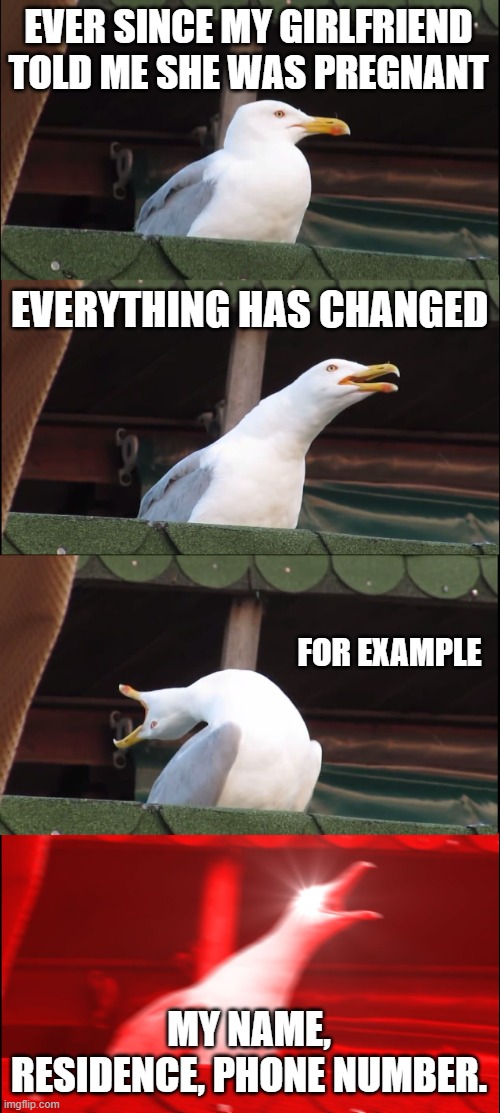 Inhaling Seagull | EVER SINCE MY GIRLFRIEND TOLD ME SHE WAS PREGNANT; EVERYTHING HAS CHANGED; FOR EXAMPLE; MY NAME, RESIDENCE, PHONE NUMBER. | image tagged in memes,inhaling seagull | made w/ Imgflip meme maker