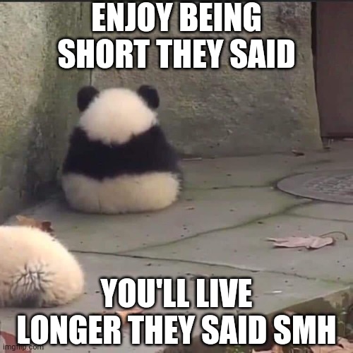 Short Person Rant | ENJOY BEING SHORT THEY SAID; YOU'LL LIVE LONGER THEY SAID SMH | image tagged in no talk me im angy | made w/ Imgflip meme maker