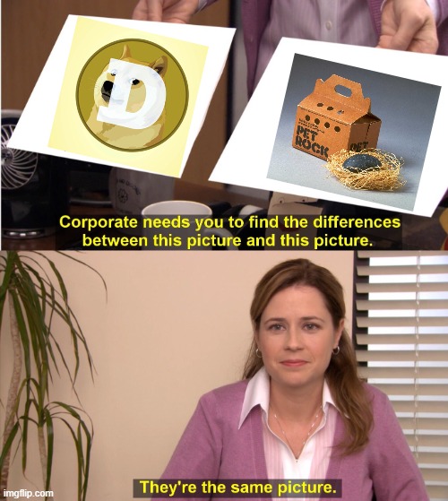 Dogecoin Pet Rock The Same | image tagged in memes,they're the same picture | made w/ Imgflip meme maker