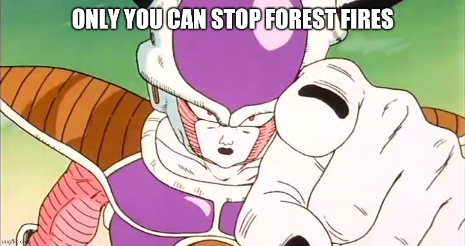 Frieza Pointing | ONLY YOU CAN STOP FOREST FIRES | image tagged in frieza pointing | made w/ Imgflip meme maker