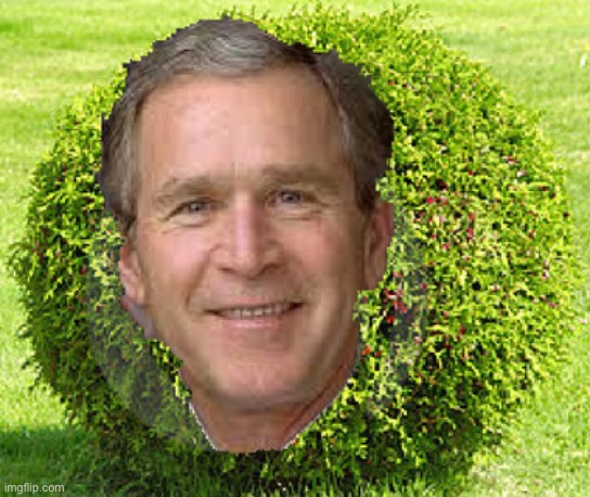 bush | made w/ Imgflip meme maker