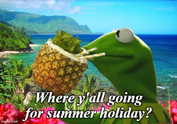 vacation kermit | Where y'all going for summer holiday? | image tagged in vacation kermit | made w/ Imgflip meme maker