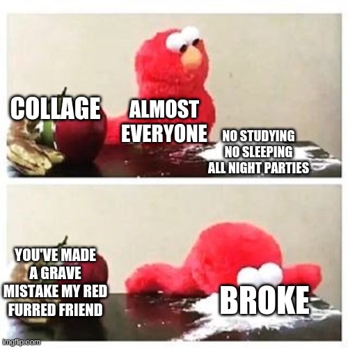 elmo cocaine | COLLAGE; ALMOST EVERYONE; NO STUDYING NO SLEEPING ALL NIGHT PARTIES; YOU'VE MADE A GRAVE MISTAKE MY RED FURRED FRIEND; BROKE | image tagged in elmo cocaine | made w/ Imgflip meme maker