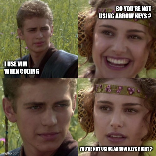 For the better right blank | SO YOU'RE NOT USING ARROW KEYS ? I USE VIM WHEN CODING; YOU'RE NOT USING ARROW KEYS RIGHT ? | image tagged in for the better right blank | made w/ Imgflip meme maker