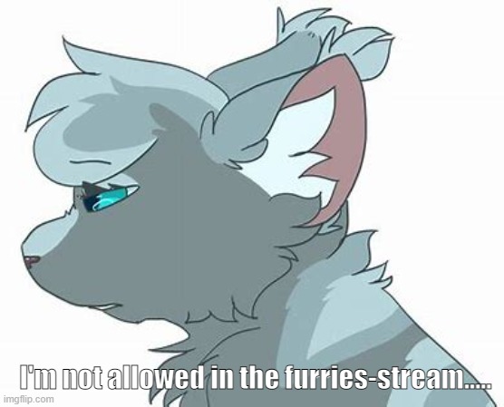 They think I'm fake.... | I'm not allowed in the furries-stream..... | made w/ Imgflip meme maker