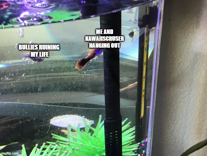 Guppies in a group | ME AND KAWAIISCRUSER HANGING OUT; BULLIES RUINING 
MY LIFE | image tagged in guppies in a group | made w/ Imgflip meme maker