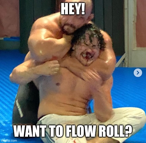 HEY! WANT TO FLOW ROLL? | image tagged in bjj | made w/ Imgflip meme maker