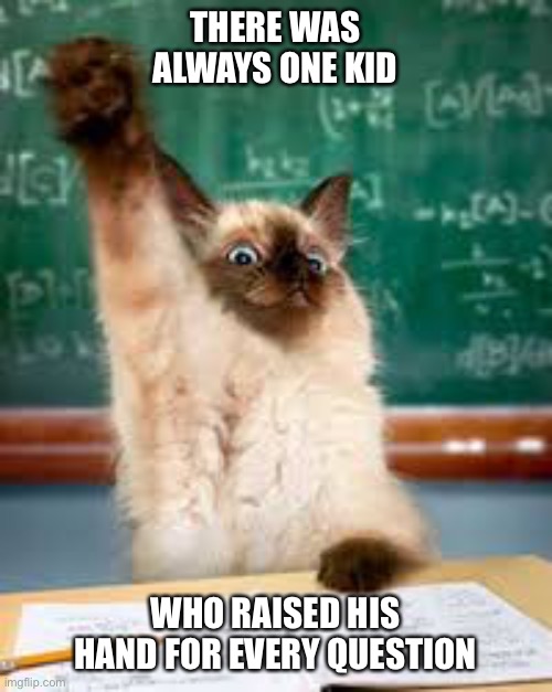 Raised hand cat | THERE WAS ALWAYS ONE KID; WHO RAISED HIS HAND FOR EVERY QUESTION | image tagged in raised hand cat | made w/ Imgflip meme maker