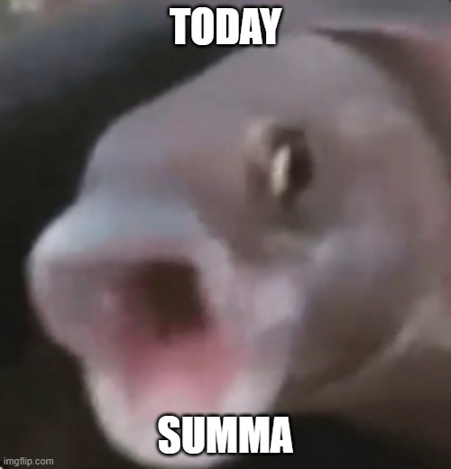 e | TODAY; SUMMA | image tagged in poggers fish | made w/ Imgflip meme maker