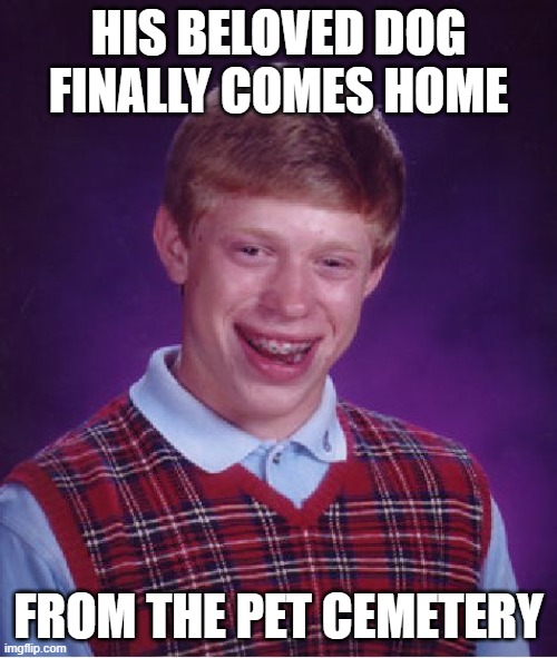 Meow... | HIS BELOVED DOG FINALLY COMES HOME; FROM THE PET CEMETERY | image tagged in memes,bad luck brian,pet cemetery,stephen king | made w/ Imgflip meme maker