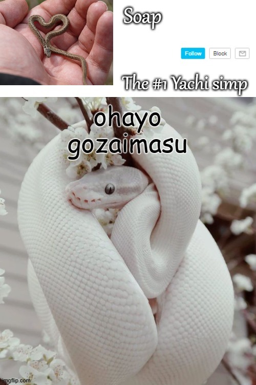 ohayo gozaimasu | image tagged in soap snake temp ty yachi | made w/ Imgflip meme maker