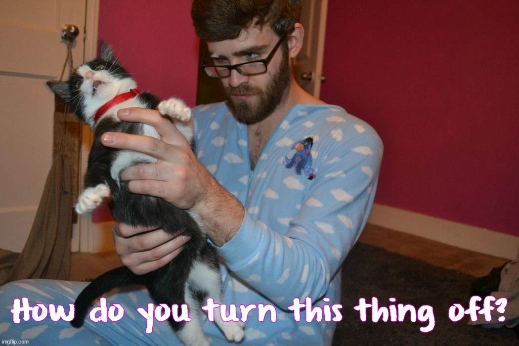 How do you turn this thing off? | image tagged in cats | made w/ Imgflip meme maker