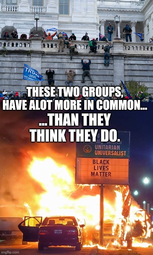 Well, if you want to use BLM as an excuse for acting that way... | THESE TWO GROUPS, HAVE ALOT MORE IN COMMON... ...THAN THEY THINK THEY DO. | image tagged in trumpism 2021,black lives matter | made w/ Imgflip meme maker